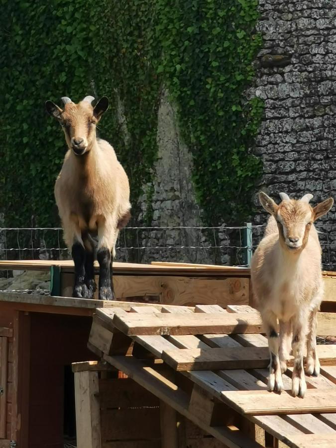 Bed & Breakfast Au Domaine De Gigie